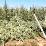 Οι ζημιές που προκάλεσε η χθεσινή ανεμοθύελλα στην Καστοριά (βίντεο)