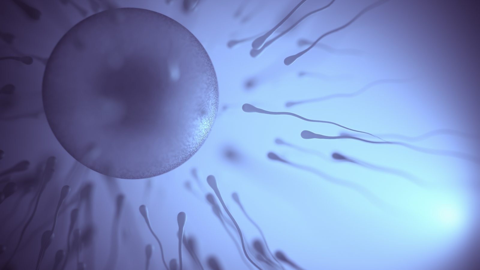 male-infertility-cover-photo_01-1600x900