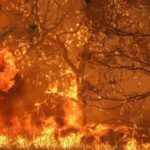 Φωτιά στον Έβρο: Απειλεί το δάσος της Δαδιάς το πύρινο μέτωπο – Επιχειρούν ξανά τα εναέρια μέσα