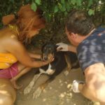 Δύο κτηνίατροι εμβολίασαν εθελοντικά όλα τα ζώα του καταφυγίου “Eva’s shelter” (φωτο)