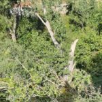 Εδώ βρέθηκε θαμμένη η ηλικιωμένη στον Δενδροχώρι- Είχαν πεθάνει και οι 2 κόρες της