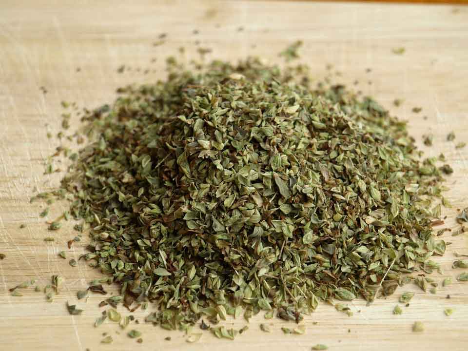 oregano-321033_960_720