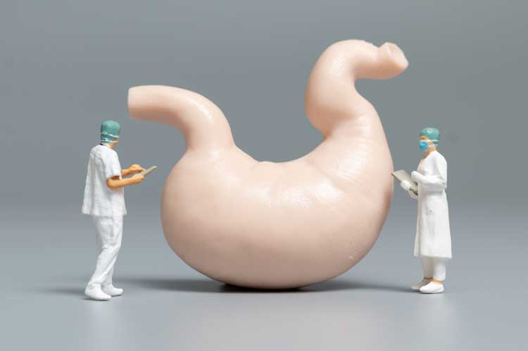 vecteezy_miniature-doctor-and-nurse-observing-and-discussing-the-human-stomach-science-and-medical-concept_2102063