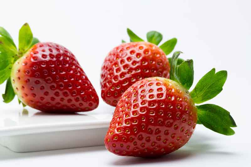 vecteezy_strawberries-fragaria-fruit-food-healthy_1902549