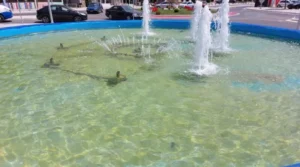 364202100_211298685214792_7310970137808662054_n-e1691080663815