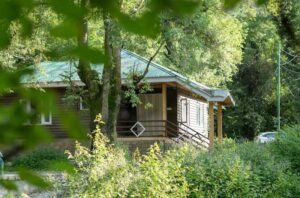 houses-in-forest-1