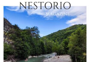 nestor-magazin
