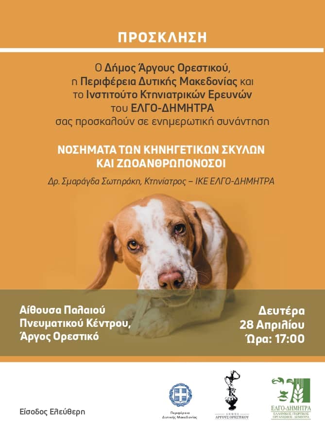 dogs