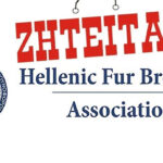 ziteitaiektrofeis