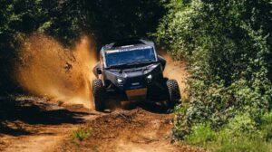 shakedown