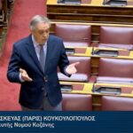 koukoulopoulos vouli
