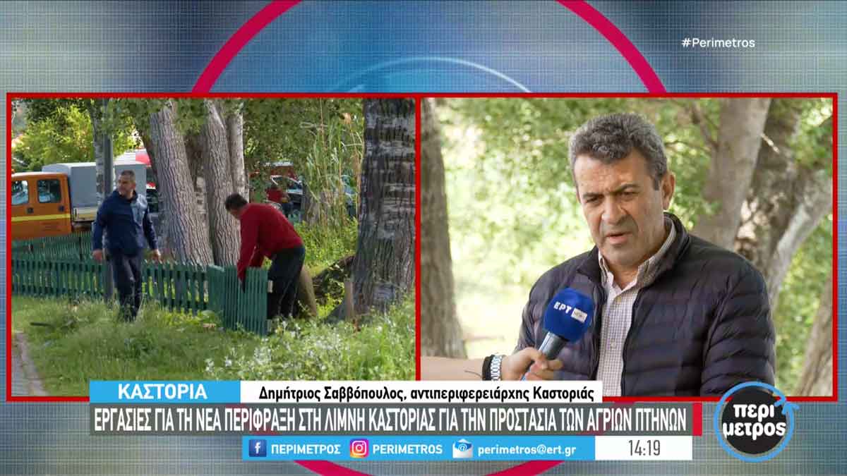 savvo frahtis