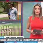 ark ertmavroxori sotiriou