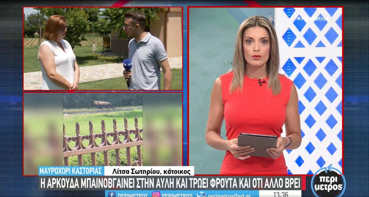 ark ertmavroxori sotiriou