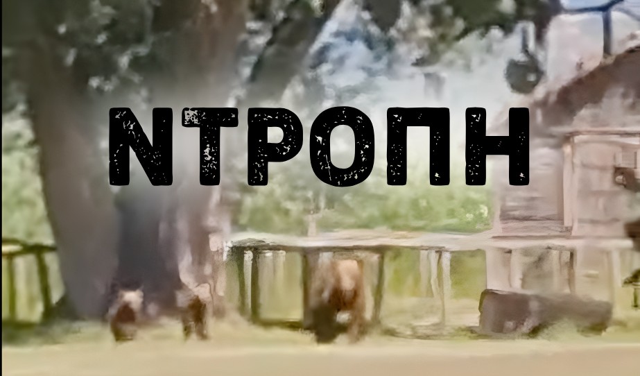 ark