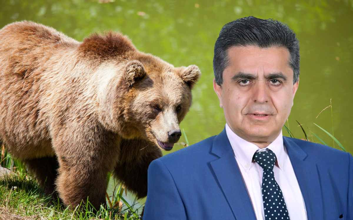 arkouda tzikalagias