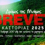 brevet 2025
