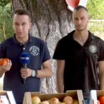giorti ntomatas 1536x724
