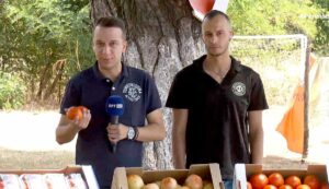 giorti ntomatas 1536x724