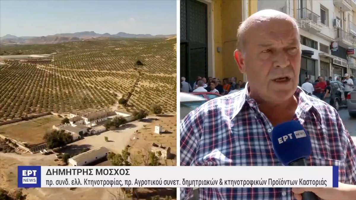 mosxos