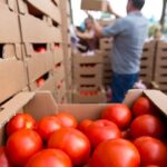 ntomates