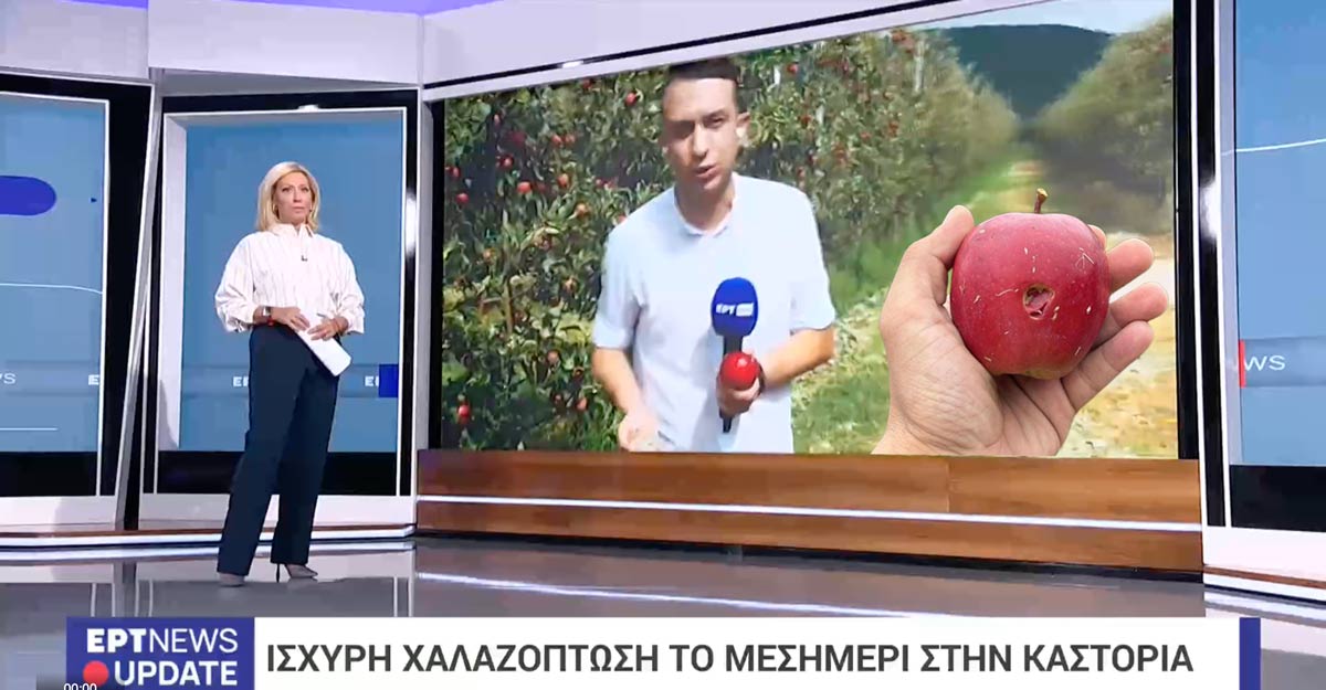xal er