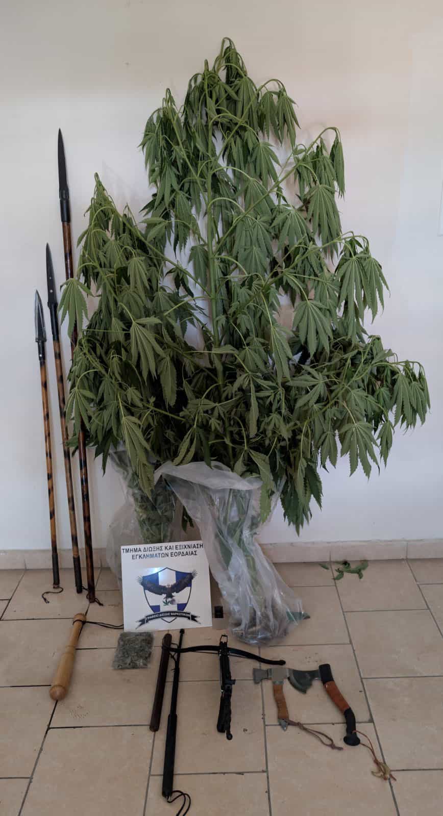 Φωτογραφία