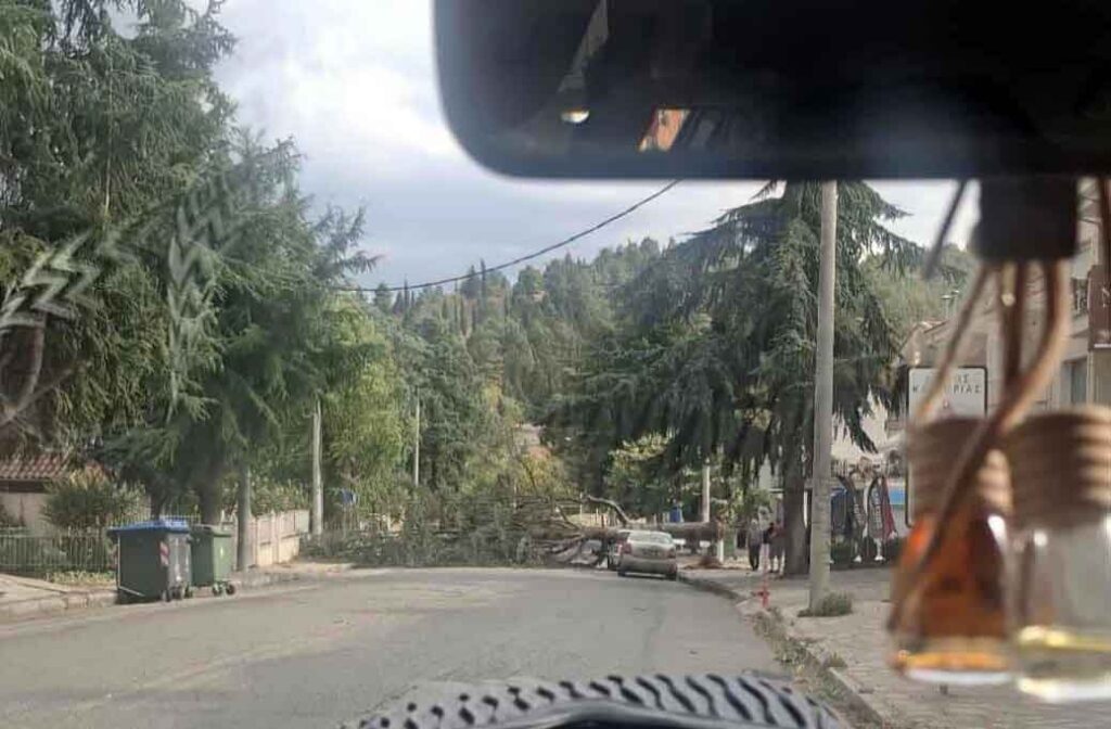 dentro hl