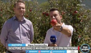 nikolaidis mila