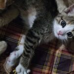 20250913 003047 copy 1175x804