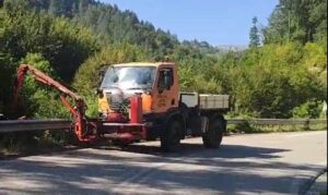 kopi kladion kai diamorfosi tafron ston dromo peukofitou nestoriou 3