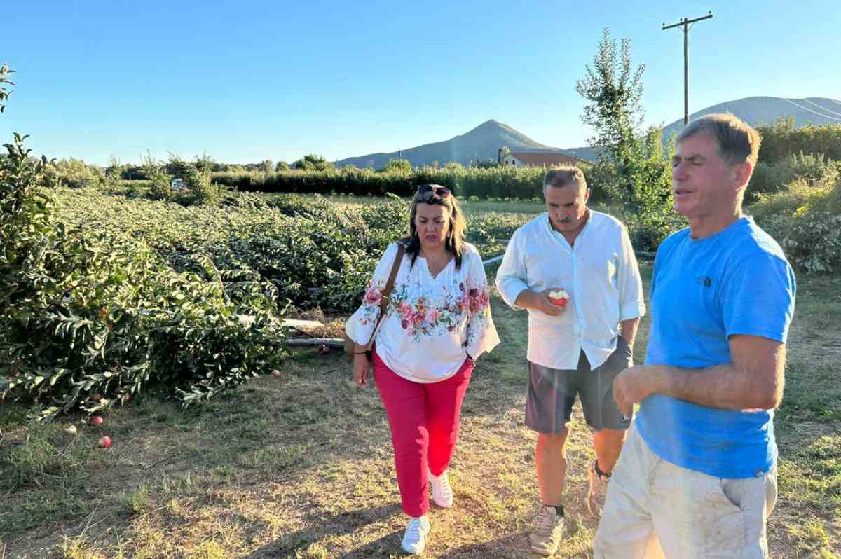 antoniou terpsis mila