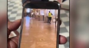 louvre