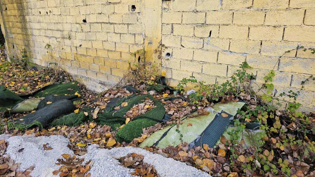 26e87fb7 5cfa 4a83 8ee4 752650a9906e