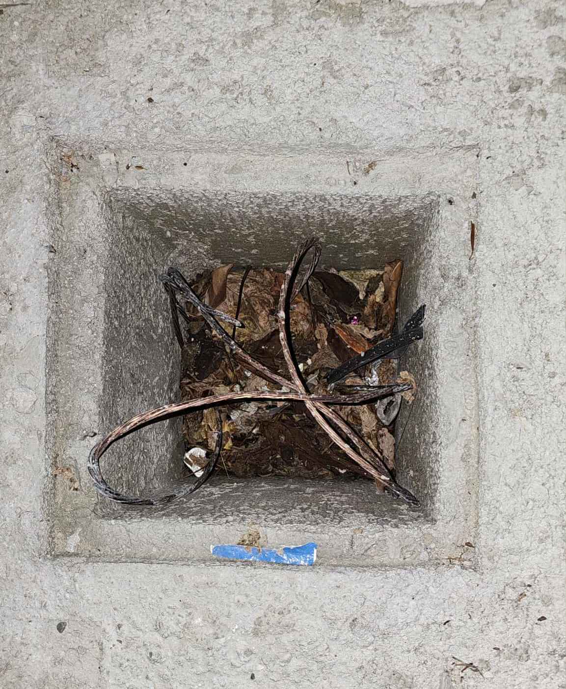 481c07d1 6f32 419d a30c 8424f223cc00