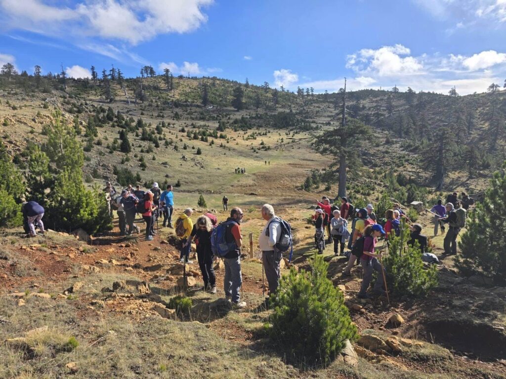 575630370 1274219794738699 3503335628150440748 n