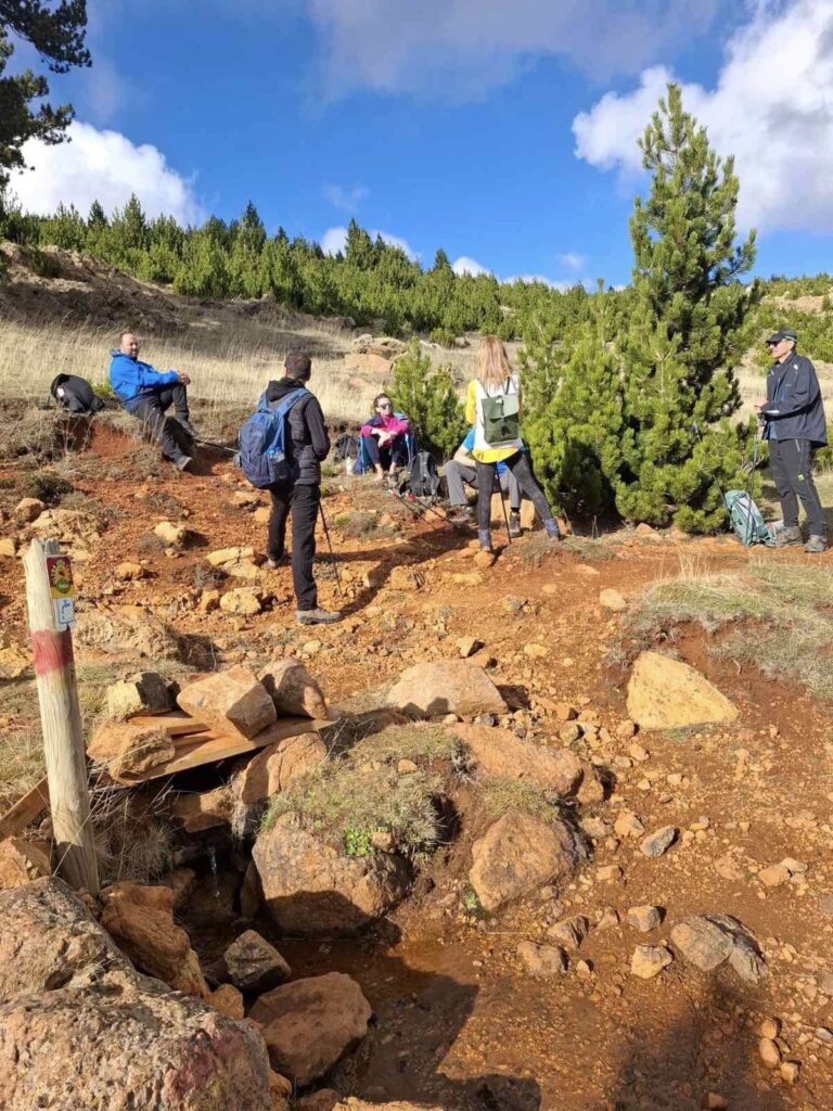 576186329 1274220331405312 697494287718513229 n