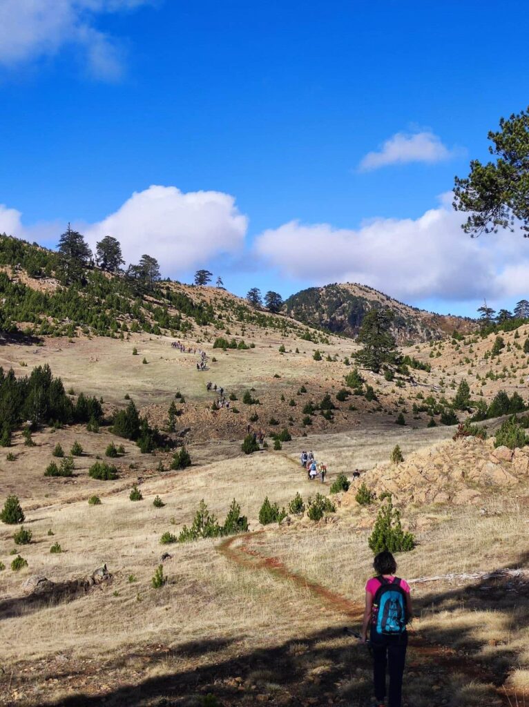 576358752 1274220448071967 6046911547163640092 n