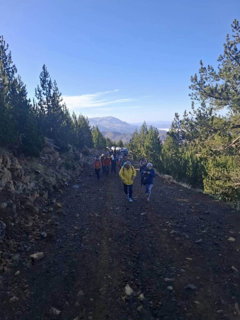 576467375 1274220771405268 7713552964266482197 n