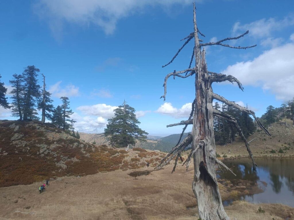 576507408 1274220118072000 866656258396685431 n