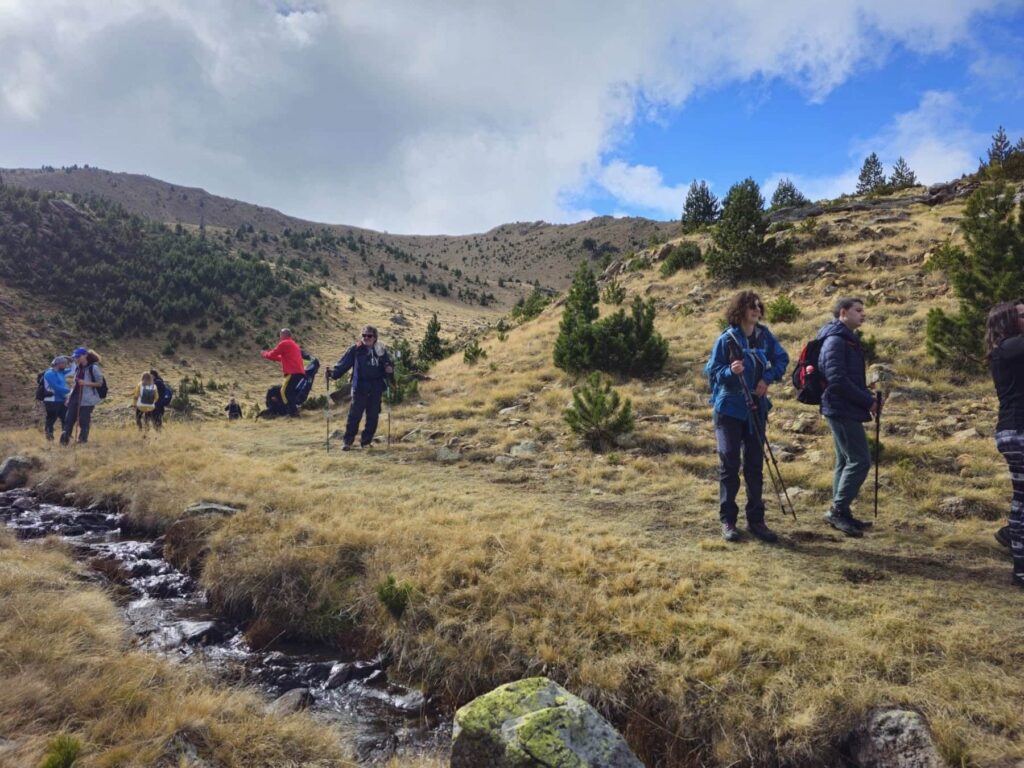 576526579 1274219841405361 7278533184438133741 n