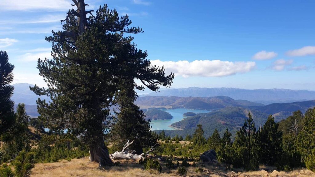 576676175 1274220518071960 6321505753456113531 n