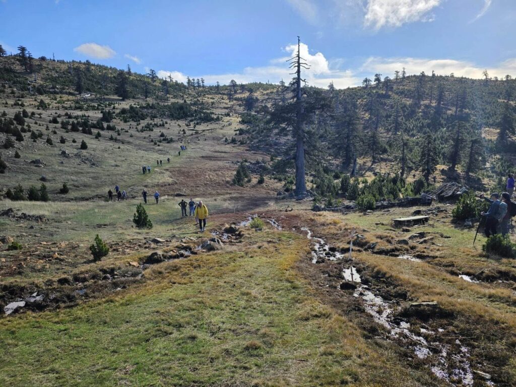 576750504 1274220031405342 931721825406691234 n