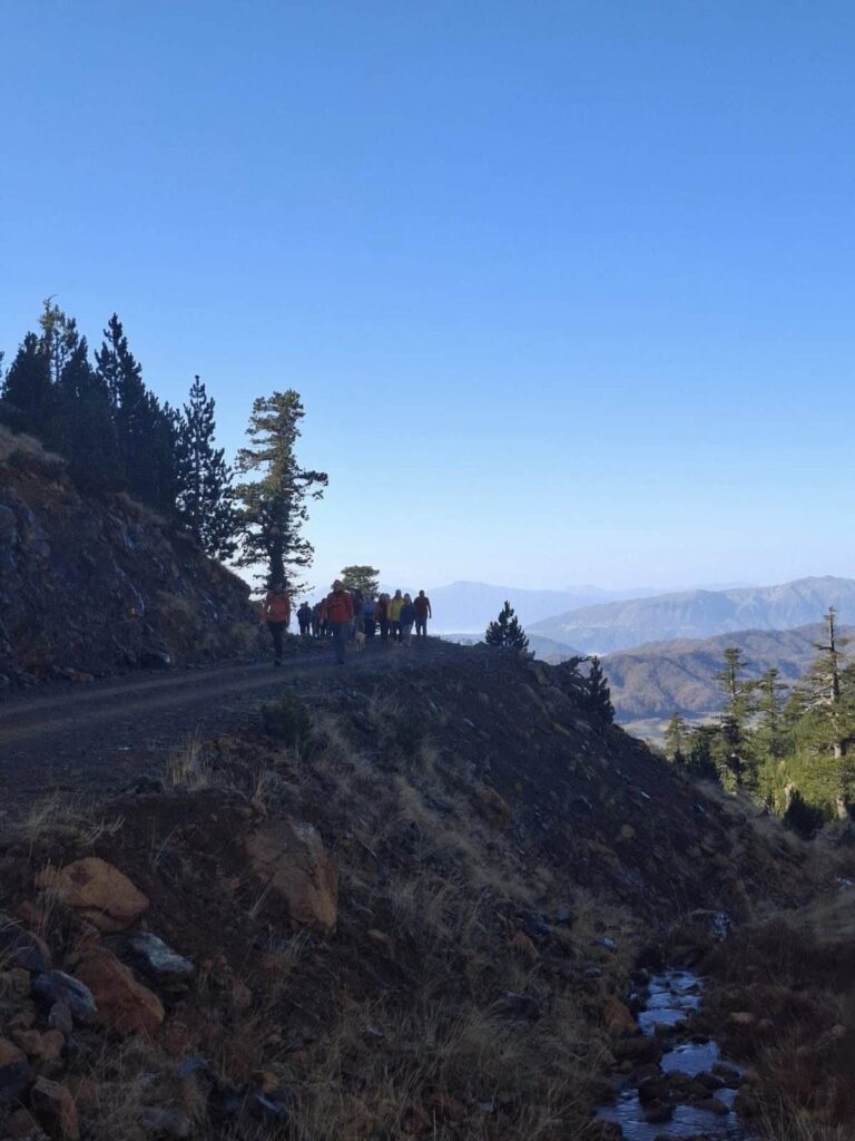 576830838 1274219888072023 3905983137895893987 n