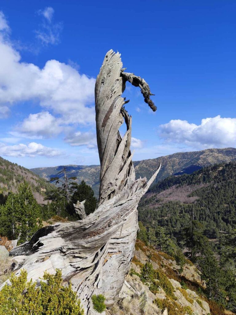 576958991 1274220674738611 6873897052632996347 n