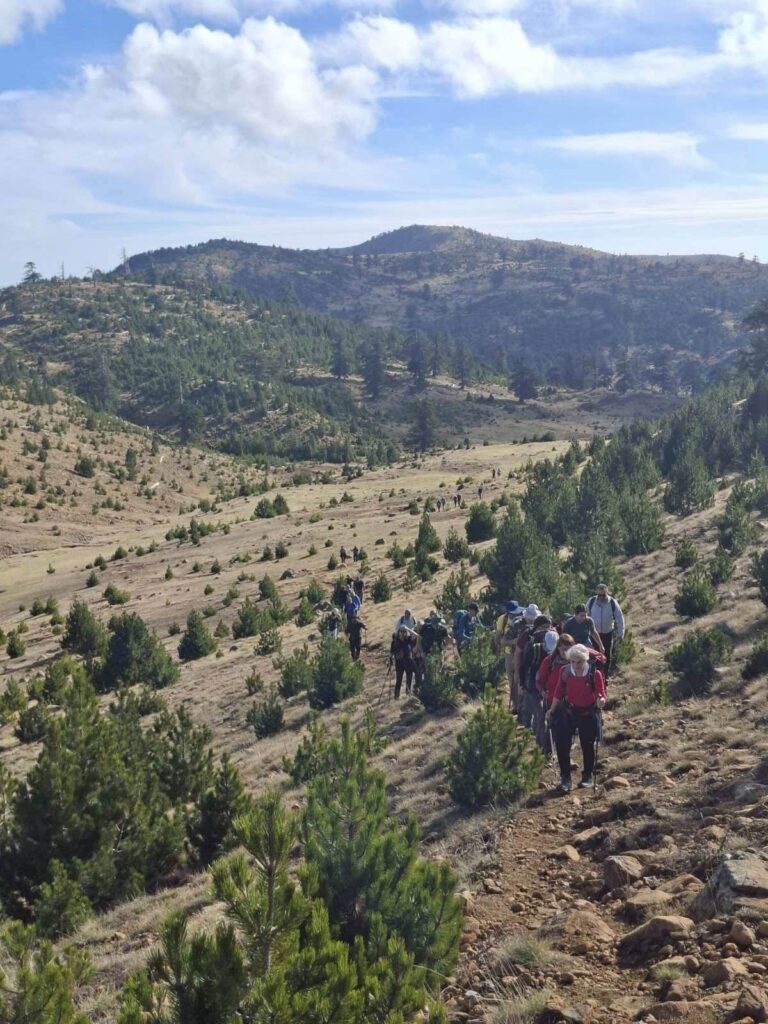 577119622 1274220221405323 6611468822247362073 n