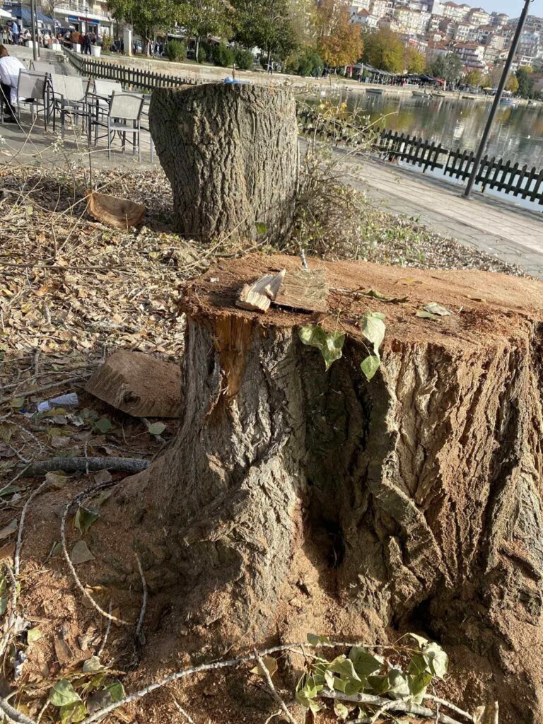 582257252 26093933053540347 3691795391157131962 n