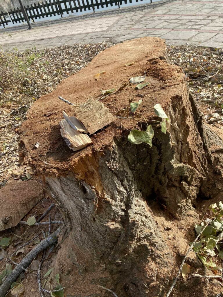 582983811 26093933483540304 6504915416805047200 n