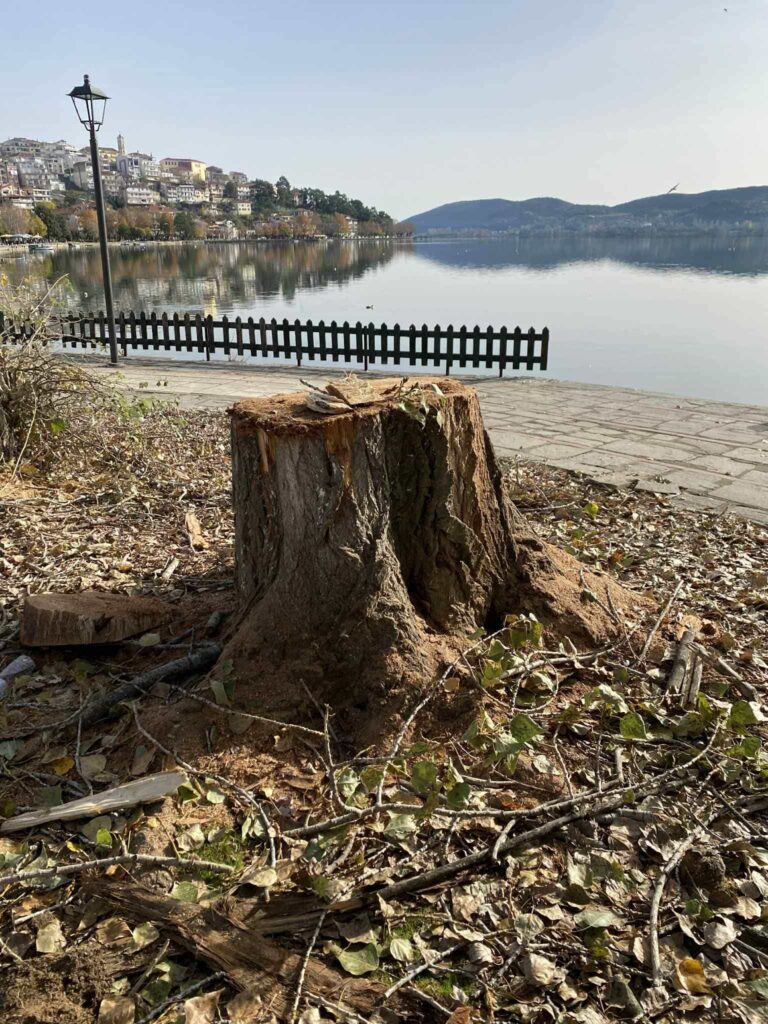 584403682 26093932853540367 891595569202699803 n