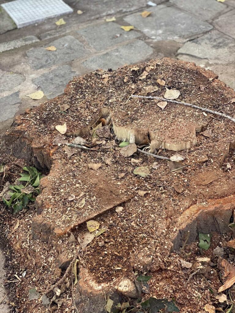 585344917 26093932680207051 2542873405456927365 n